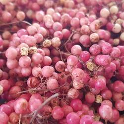 ...der allerdings schon. Schnell ein Tütchen eingesammelt...