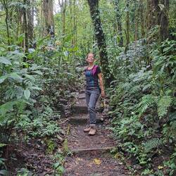 Die schönste Blume des Nebelwaldes