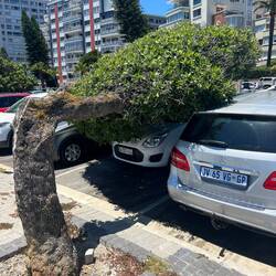 Ein bisschen Schatten gefällig?