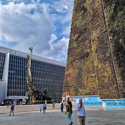 Die vertikale Begrünung am Sitz des Stadtpräsidenten hatte schon bessere Tage.