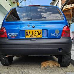 Das schon fast traditionelle Büsi zum Schluss.