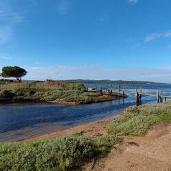 In der Lagune do Obidos haben wir weit entfernt.......
