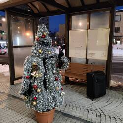 Ooit een kerstboom op de bus zien wachten?