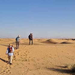 In the way back to the car. Will er find it🙏?