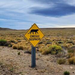 Den Typen haben wir leider nicht gesehen!