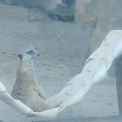 Riverview Park & Zoo