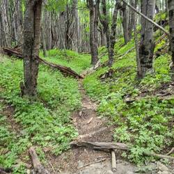 Probably my fave. It was easiest to hike.