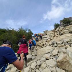 There was a whole lotta this.