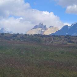 Burned a lot of calories to see these sights every day.