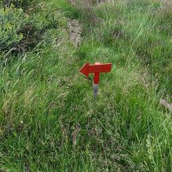 Little reminiscent of Camino, on Camino, it's yellow arrows.