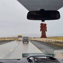 Zoom if you want to "count 🐑".