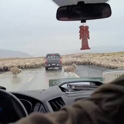 I liked when Fio was talking to them.