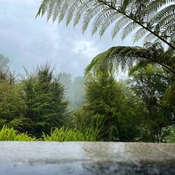Hinten im Garten steigen heiße Dämpfe auf