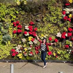 This living wall adorns the police station!