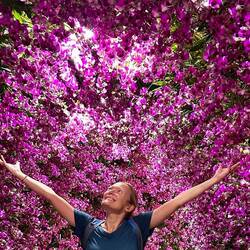 Orchids' Tunnel