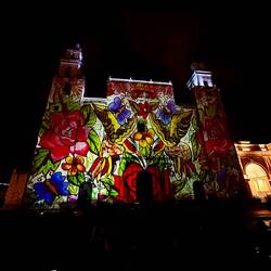 The light show at night