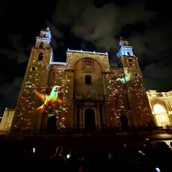 Most of the hummingbirds we saw were not this big