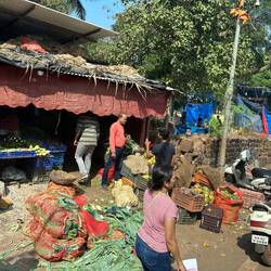 One stop vegetable shop.