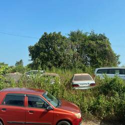 Parking is at a premium.