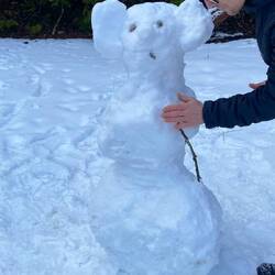 Snow koala for an Aussie touch to our white Christmas