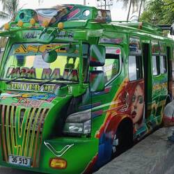 You can see colorful buses going around anywhere 🤩