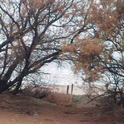 Wer sucht der findet😉