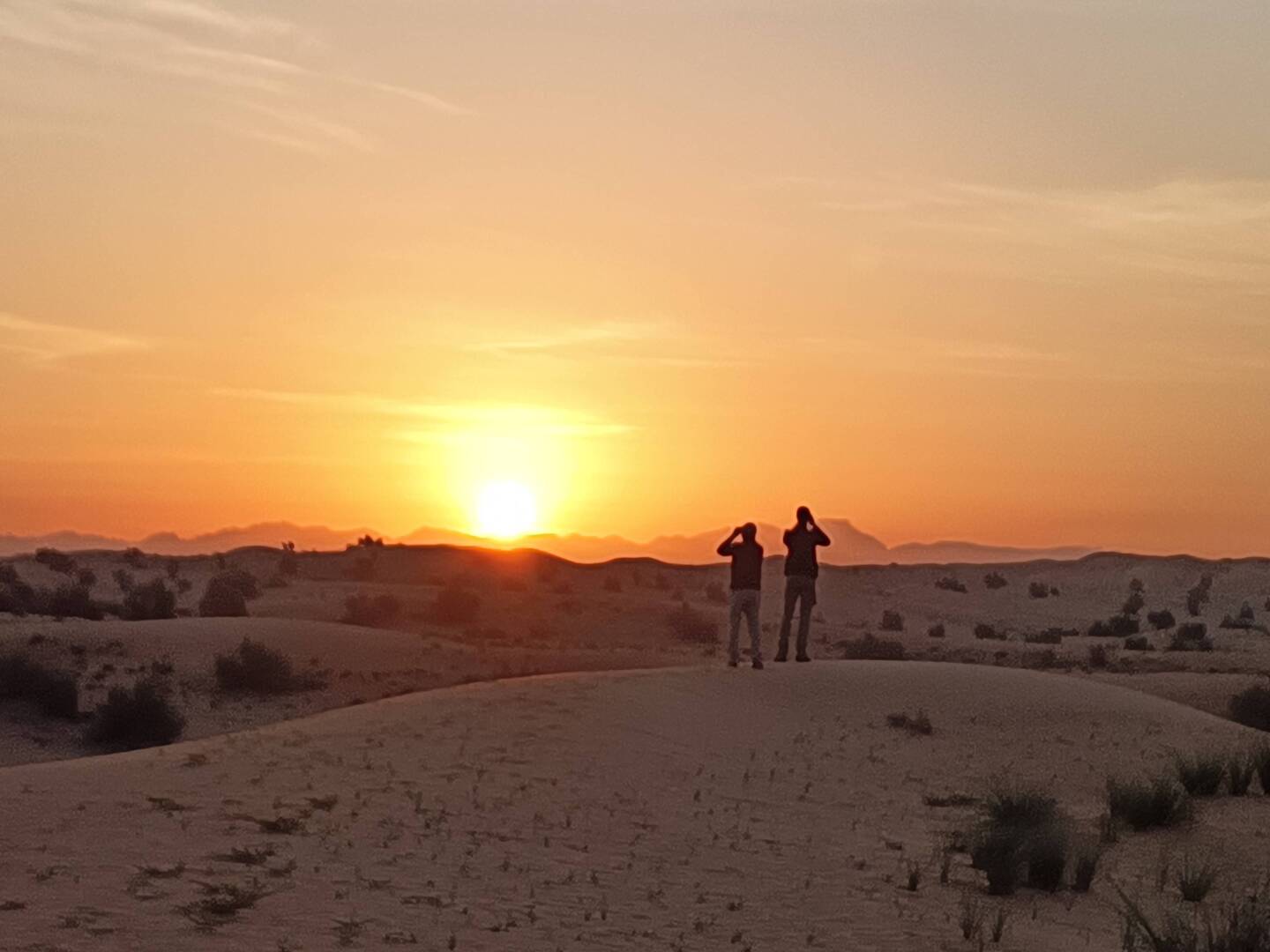Hier haben wir die Pharao Eagle Owl gesehen