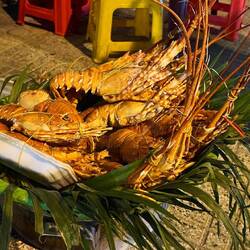 Hummer am Straßenrand