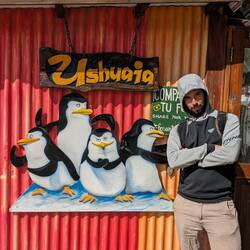 Pinguine sind hier...