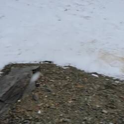 Uns zu kalt, den Wauzis zu warm!