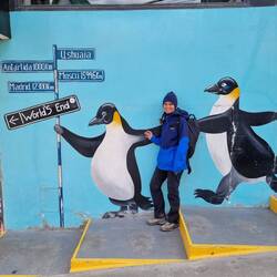 Und nochmal Pinguine...