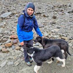 Tierisch gute Begleitung!