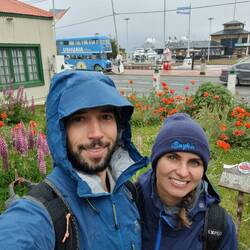 Ein paar Blüten gibt's selbst hier