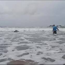 Aller Anfang ist nass 🤓