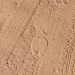 Kamele waren auch hier