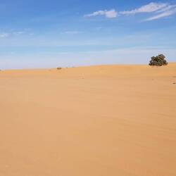 ... so viel Sand...topp