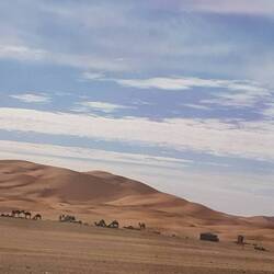 Endlich Dünen wieder näher in Sichtweite