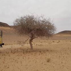 Stellplatz die Erste