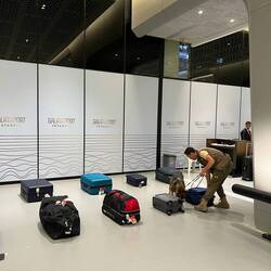 Sniffer dogs check out our bags at Turkish Customs