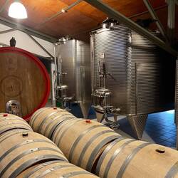Corvus winery