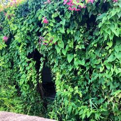 ...das war mal ein Haus