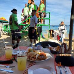 The entertainment of the afternoon!