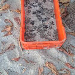 Und diesen kleinen Kerlchen haben wir dann noch zugesehen...