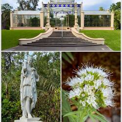 From our stroll at the Botanical Garden — Adelaide, SA.