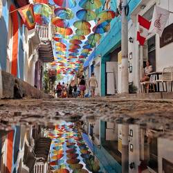 Diese Schirme sehen wir in jeder Stadt.