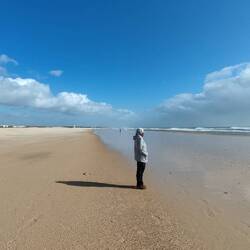 ...Steinwurf weit entfernt