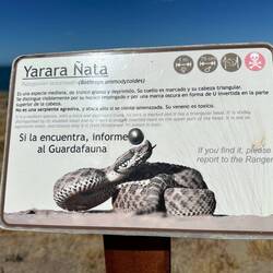 ... gibt es auch ...