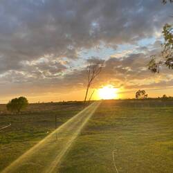 Sonnenaufgang beim Blue Heelers