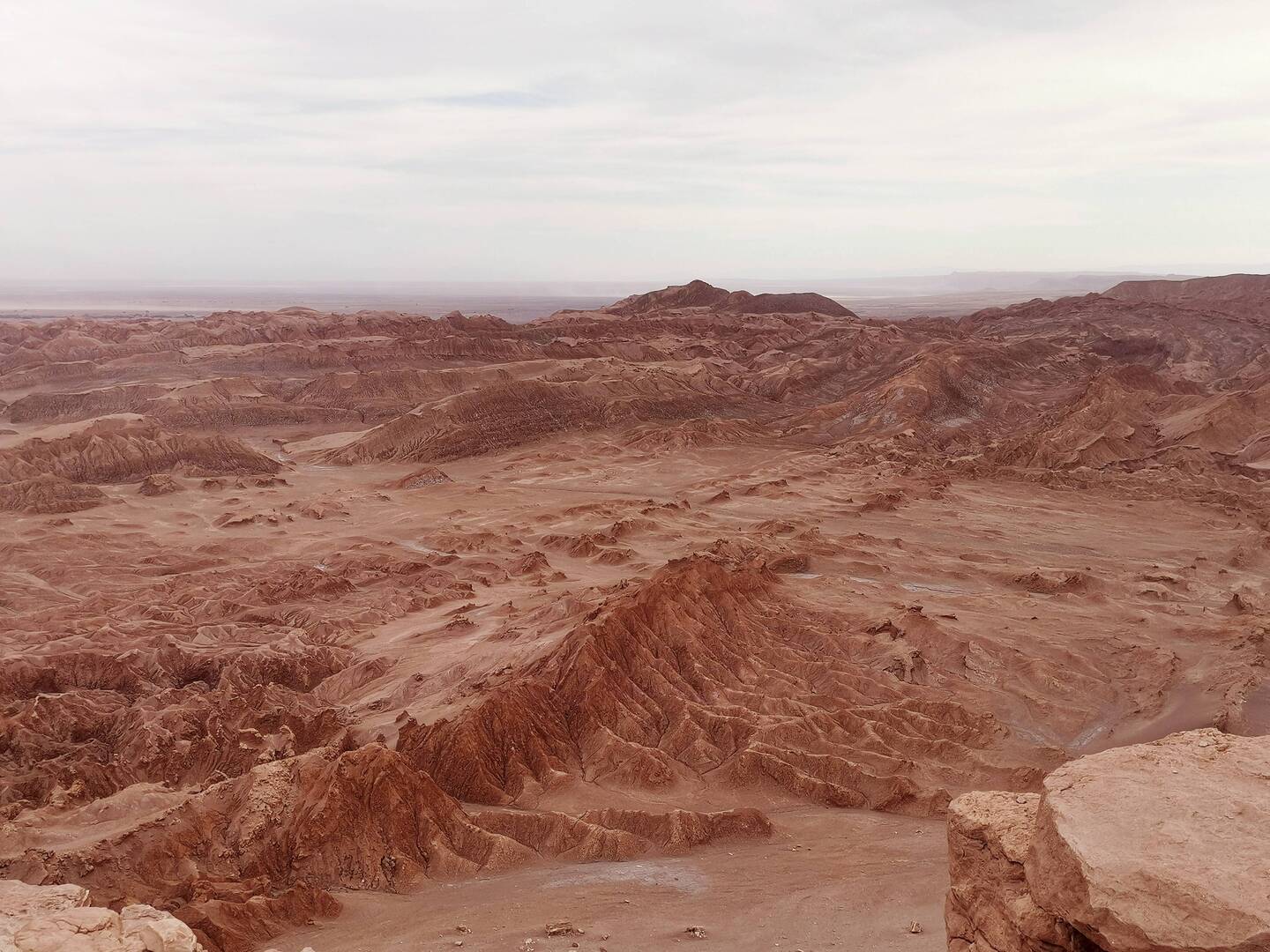 Valle de la Luna 🌛
