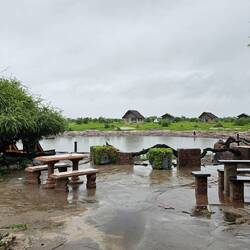 Am Wasserloch ließ sich kein einziger Elefant blicken 😭.